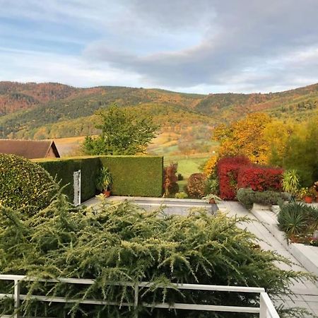 Logement De Charme Au Coeur De La Nature Osenbach Ngoại thất bức ảnh