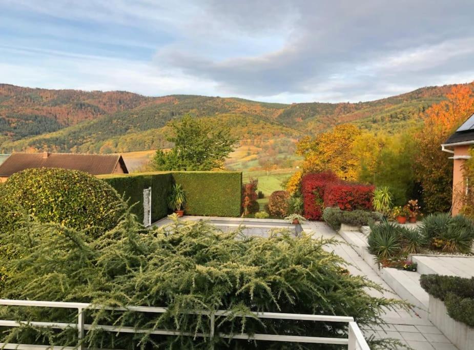 Logement De Charme Au Coeur De La Nature Osenbach Ngoại thất bức ảnh